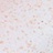 Лак для ногтей `PINK UP` `GEL`  тон 43 10,5 мл