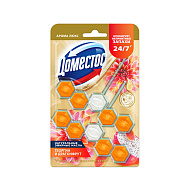 Подвеска для унитаза `DOMESTOS` POWER 5 Георгин и Драгонфрут 2 шт