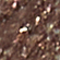 Карандаш для глаз `PARISA` CHOCK LOOK металлик тон 901 bronze orchid