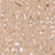 Тени для век `ARTDECO` EYESHADOW с блестками тон 345 Glam beige rose