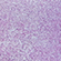 Лак для ногтей `CATRICE` POOLSIDE OF LIFE тон 03 Purple Skies